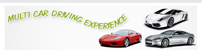 Multi Car Driving Experience