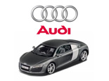 Click for a larger image Audi R8 Thrill